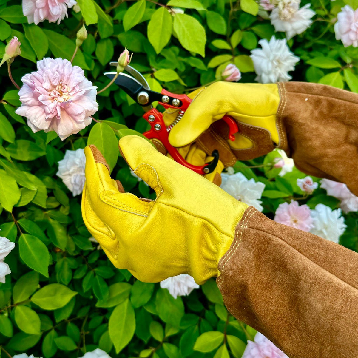 Rose Pruning Gloves – Long Soft Cowhide Garden Gloves